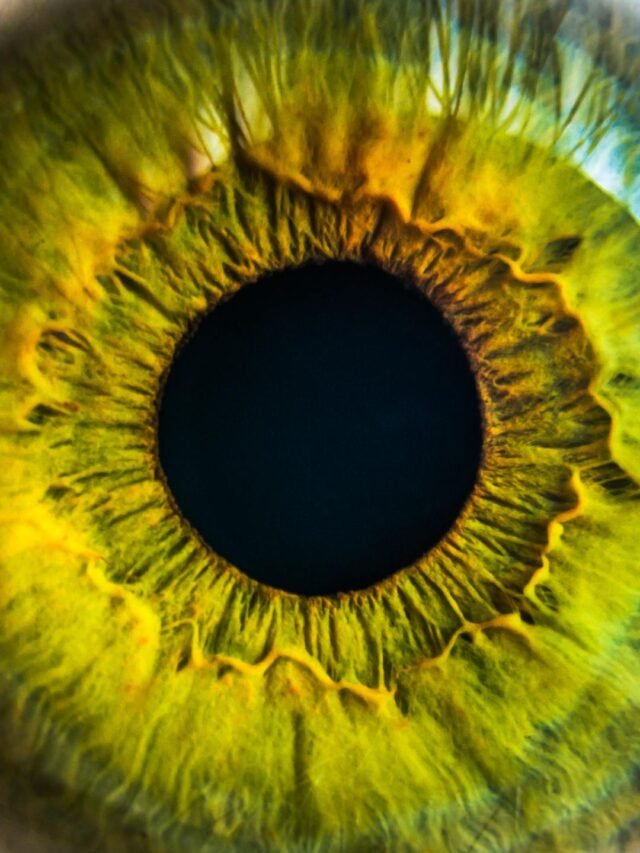 इतिहास से जुड़े  10 रोचक तथ्य