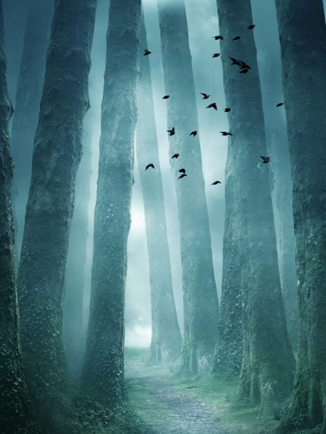 भारत के कुछ रहस्यमयी स्थान जिनके रहस्य से वैज्ञानिक भी हैरान है