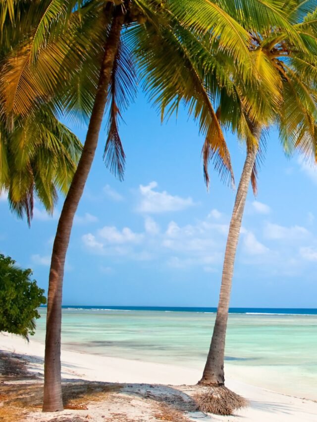 Facts About Lakshadweep in Hindi : जानिए लक्षद्वीप के बारे में कुछ रोचक तथ्य